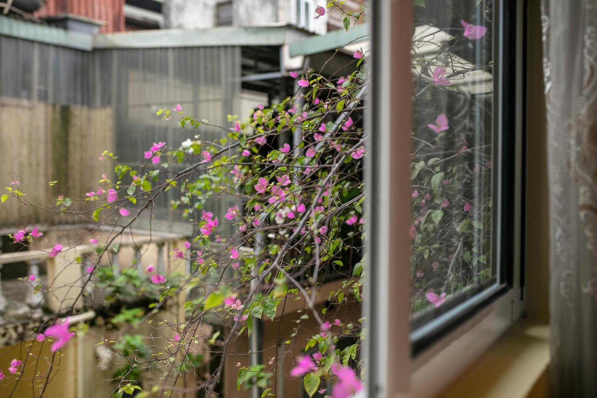 Hanoi Oldtown Nomad Hostel Eksteriør bilde